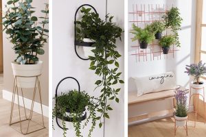 soluciones para organizar tus plantas