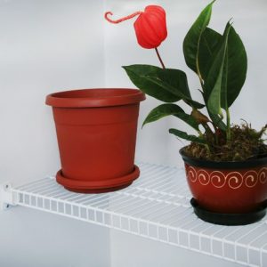 Entrepaño de 40X60 cm