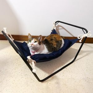 Hamaca para gatos en tubería