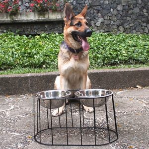 Comedero ovalado grande