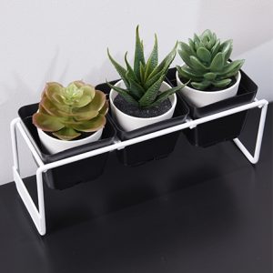 Gradilla Cuadrada x3