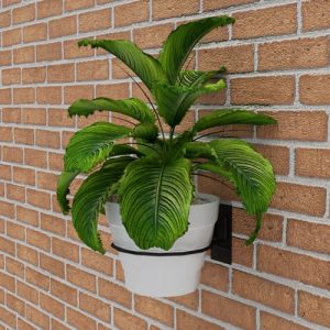 Soporte sencillo de pared