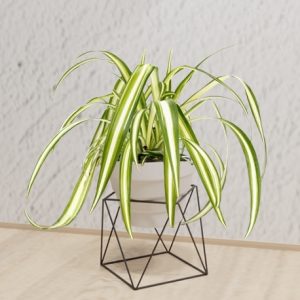 Matera geométrica pequeña