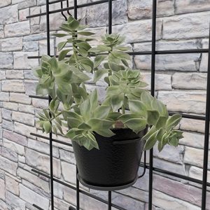 Soporte matera marco unidad