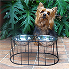 img-Comederos mascotas